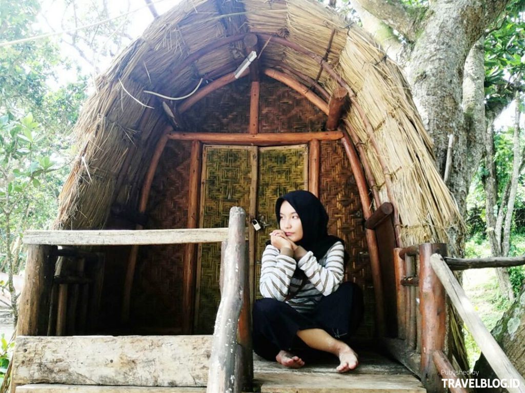 Travelblogid Penginapan rumah pohon  Travel Blog Indonesia