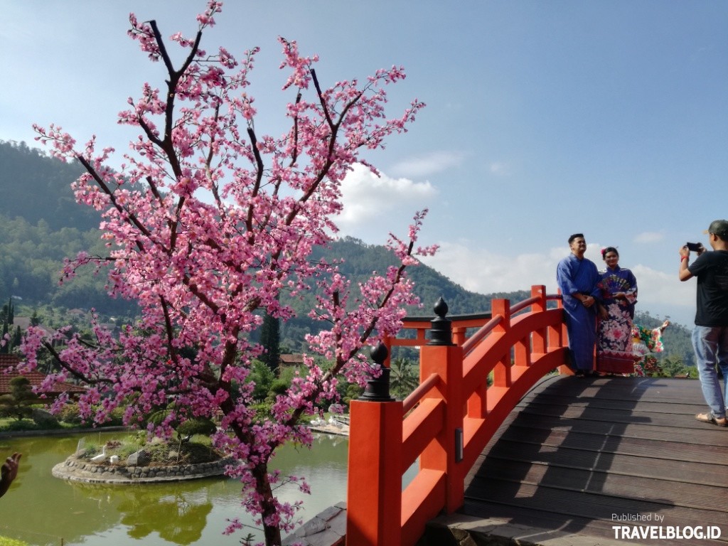 Travelblogid Replika Bunga Sakura Di Samping Jembatan Merah Travel Blog Indonesia