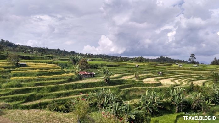 Menikmati Keindahan Alam Desa Terindah Dunia, di Pariangan 