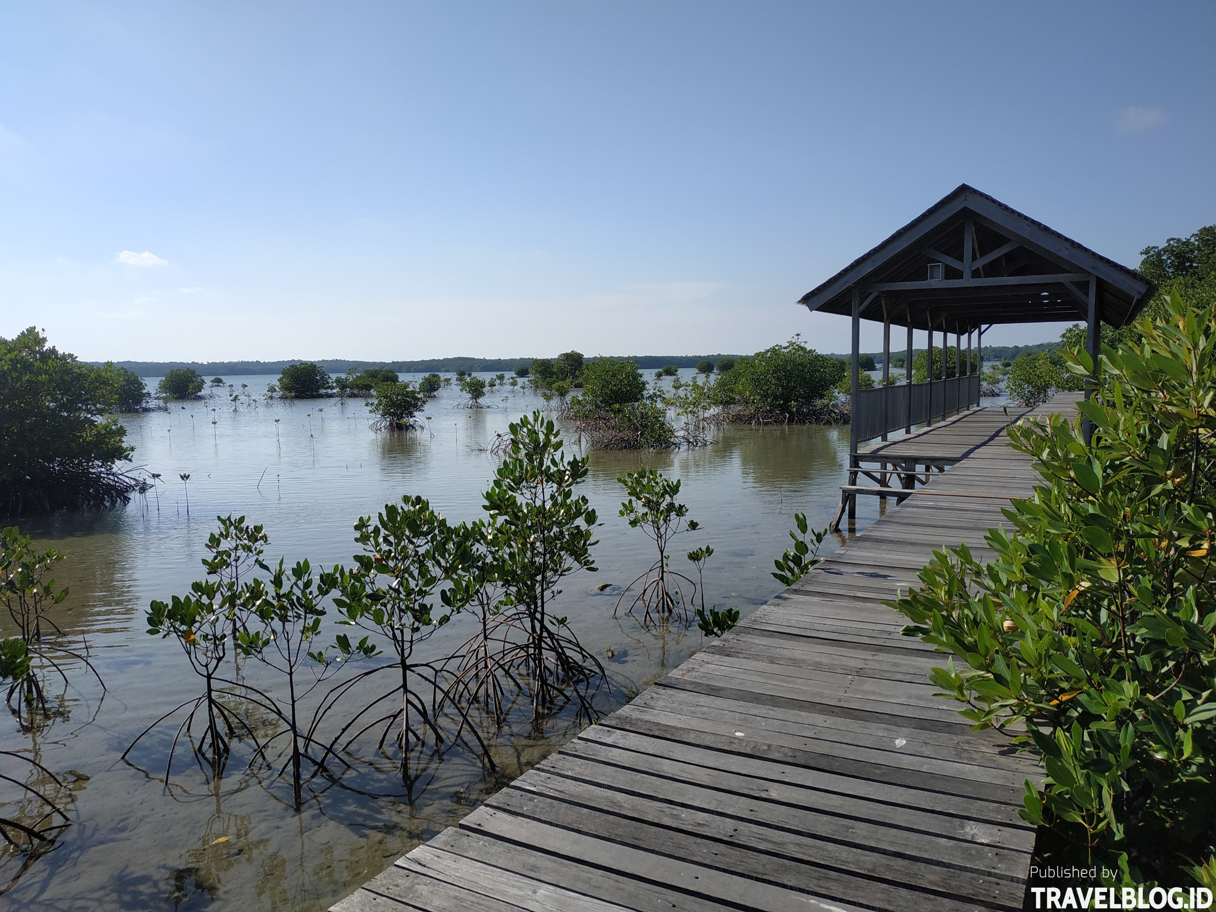 Bersetapak di Hutan Mangrove dan Berwisata Edukasi | Travel Blog Indonesia