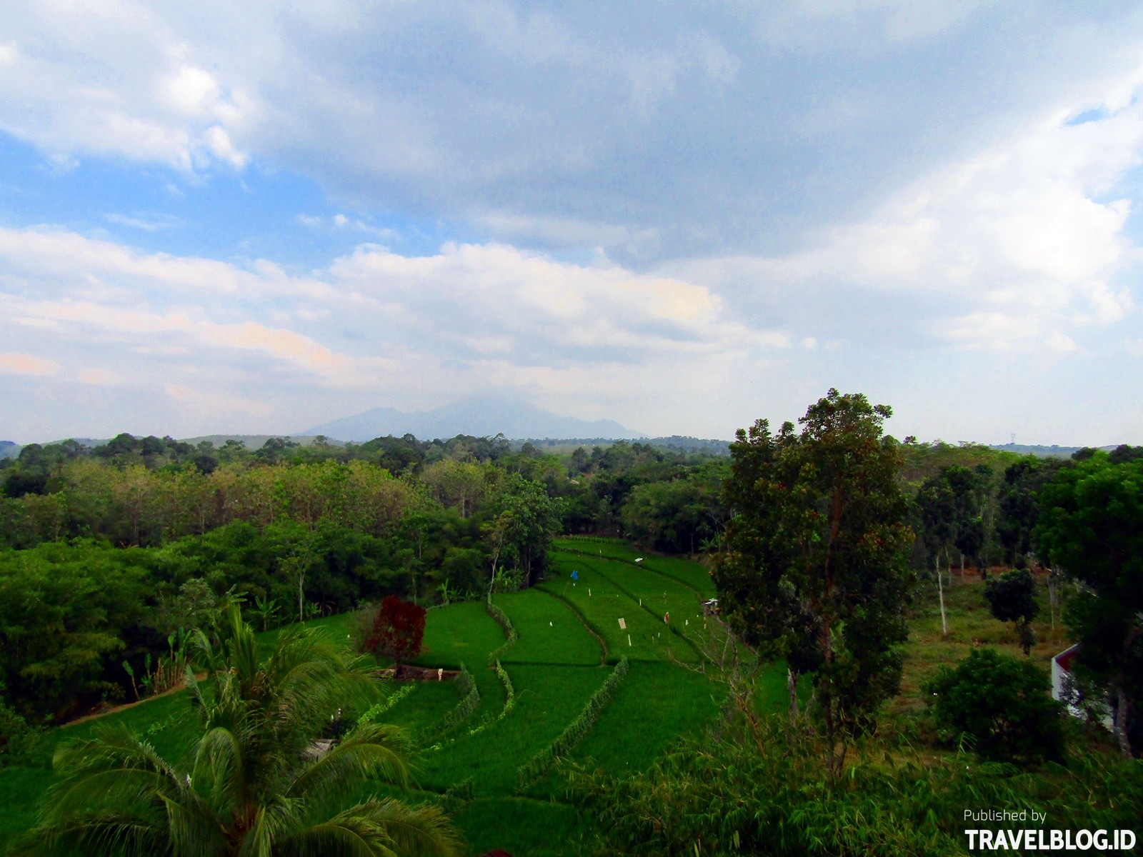 Travelblogid Masjid Kapal Pemandangan Sekitar Travel Blog Indonesia