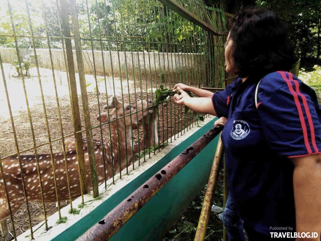 Medan Zoo