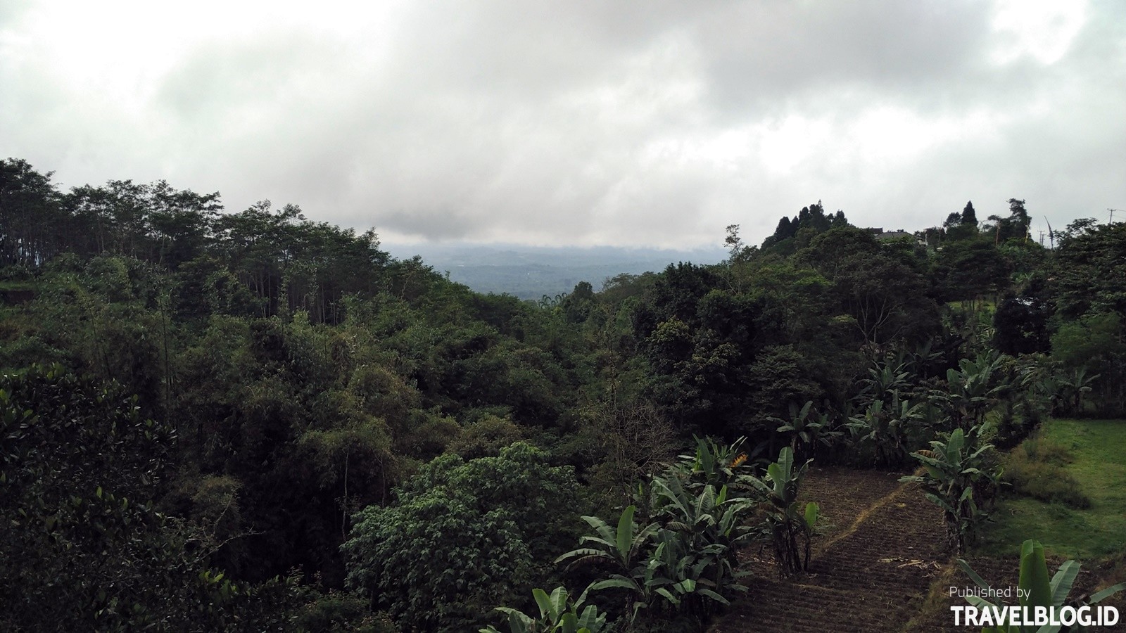 Travelblogid Pemandangan Bukit Di Sekitar Danau Beratan Travel